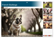 French Bulldogs (Monthly Wall Calendar 2026 11.7 x 16.5 (open)), CALVENDO 14 Mon