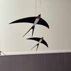Foto 10 di 20