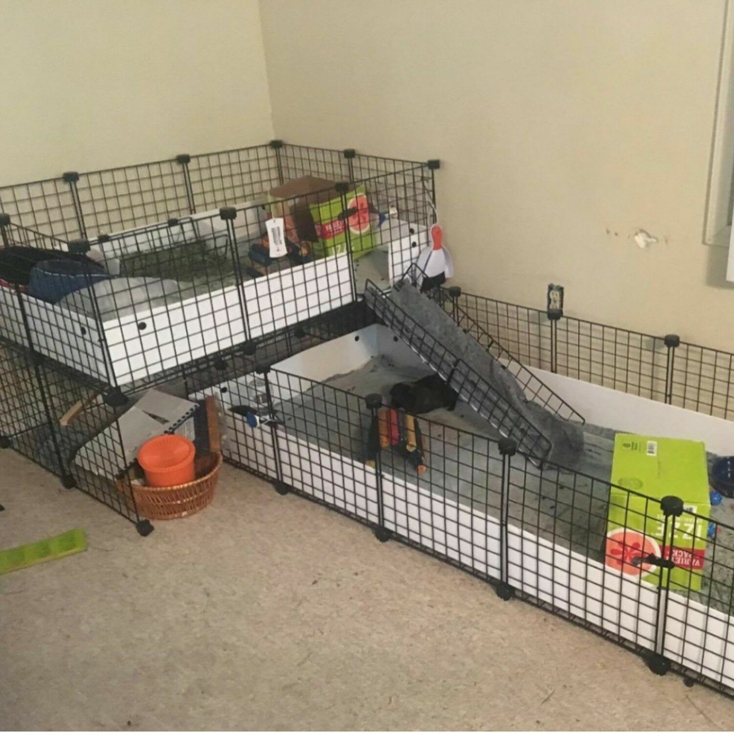 bunny play yard