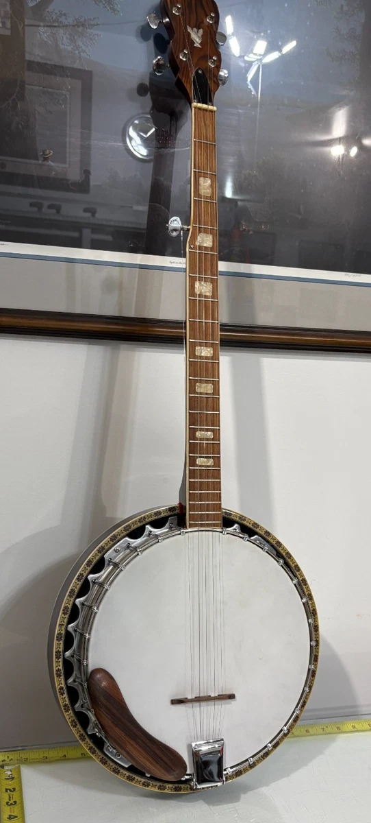 25+ Closed Back 5 String Banjos for sale | Updated Oct 2026