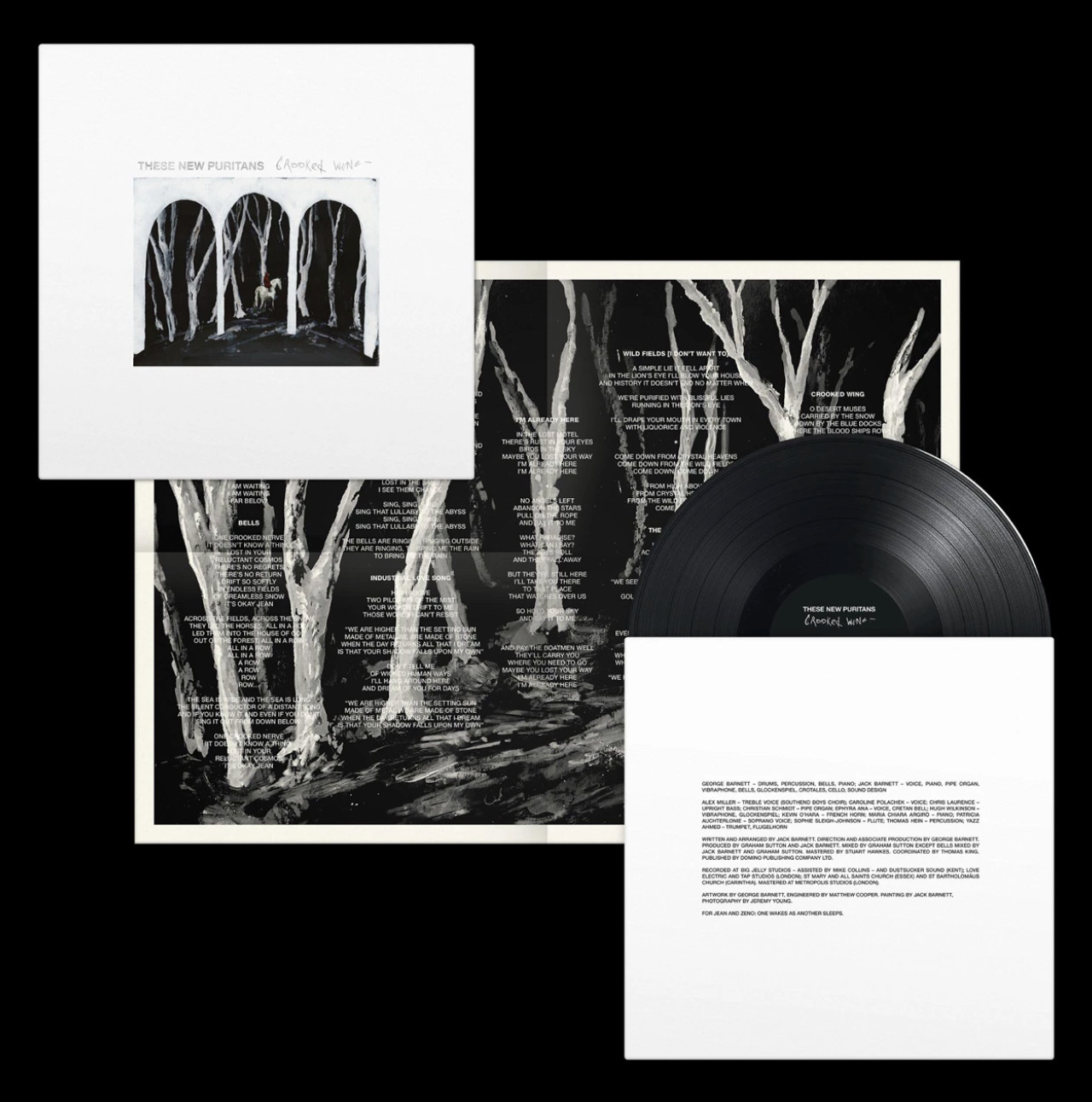 These New Puritans - Crooked Wings - Vinyl LP, New & Sealed! INC. Poster + Code
