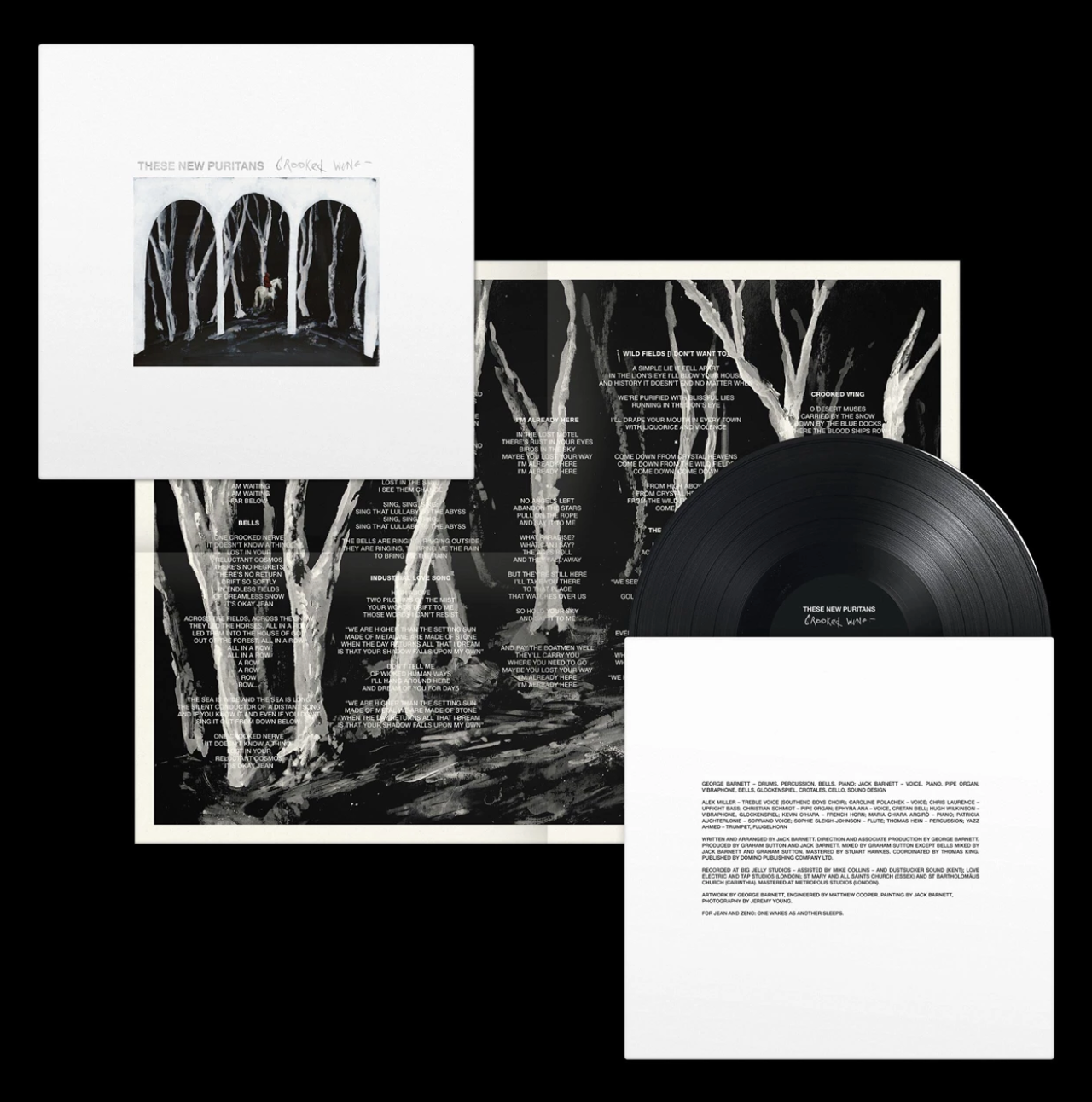 These New Puritans - Crooked Wings - Vinyl LP, New & Sealed! INC. Poster + Code