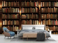 3D Bookshelf Library Self-adhesive Removeable Wallpaper Wall Mural Sticker 94