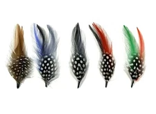Lowrider Fedora Cowboy Hat Feathers Pack Of 5 Multi-Colors 4 Inch