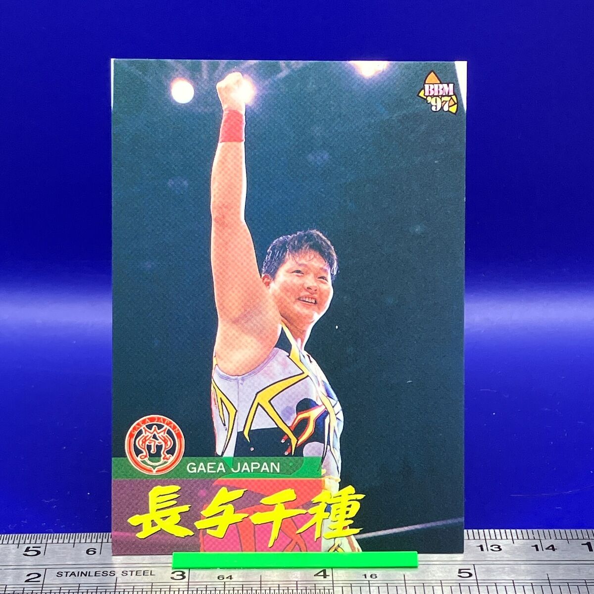 BBMプロレスリングカード ベースボール・マガジン社 BBM＠BOOK CART