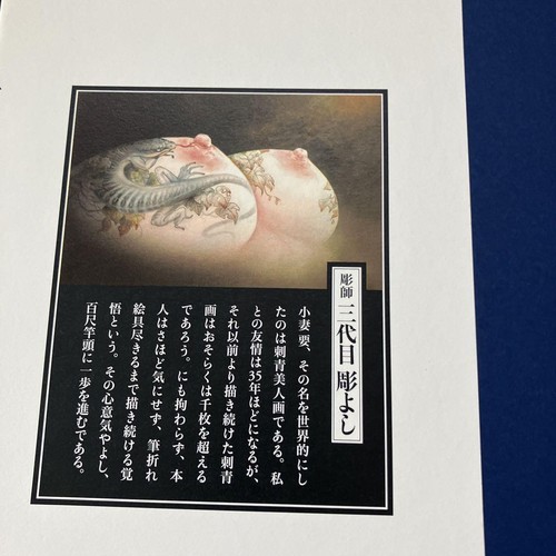 Tattooed beauty painting female Irezumi Kozuma Kaname Ukiyo-e Art Book Bijin-ga - Picture 5 of 7
