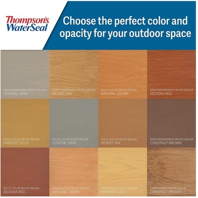Thompson's WaterSeal Clear Waterproofing Stain