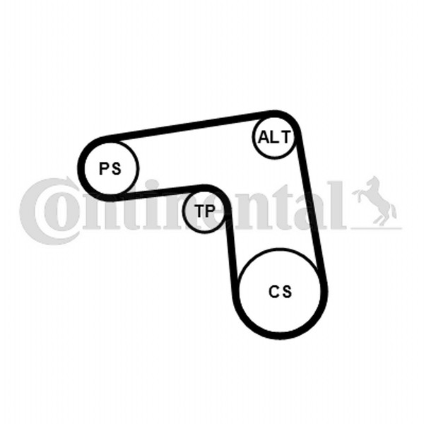 Continental Ctam Keilrippenriemensatz FüR Fiat Ducato Kasten 250_ 290_ 250-image