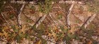 Bild 68 von 84