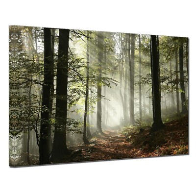 Large Artwork Natural Picture Canvas Wall Art Master Bedroom Hallway Modern L...
