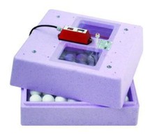Halbautomatische Brutmaschine für ca. 65 Hü...