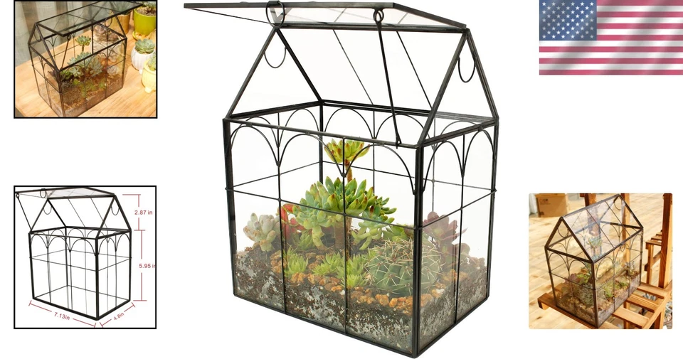 Hinged Roof Irregular Glass Terrarium for Indoor Succulents - 7.13 in Size - Image 2 of 4