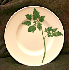 DIBBERN - Herbaticum – Petersilie – Frühstücksteller – neuwertig