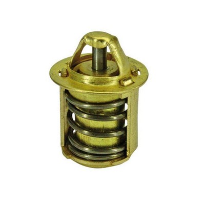 Thermostat Gilera Gsm 50 1999-2001 403460190