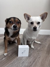 Apple AirPods Pro 2nd Gen MagSafe Case - NEW FACTORY SEALED