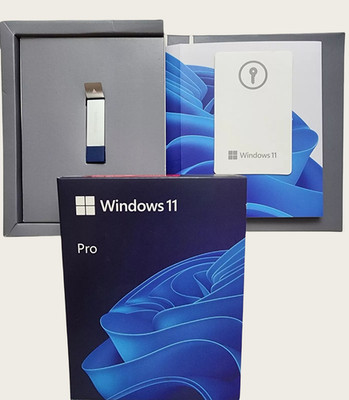 Brand New Microsoft Windows 11 Professional 64-bit USB Stick + KEY sticker