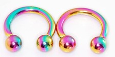 Pair of 10g 1/2 Diameter Rainbow Titanium Hor...