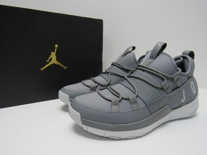 jordan trainer pro grey