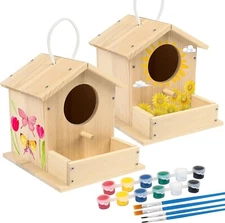 Bird House Kit 2 Pack DIY Wooden Birdhouse Kits Bulk Arts Crafts Painting Gifts