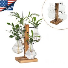 Hydroponic Glass Vase With Wood Stand- Modern Office Desk Water Plant Decoration