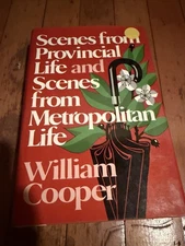 Scenes of a Provincial Metropolis by Cooper (Hardcover)