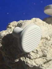 100 CURED REEF PLUGS FOR LIVE CORAL FRAG PROPAGATION  great for sps lps zoo zoa