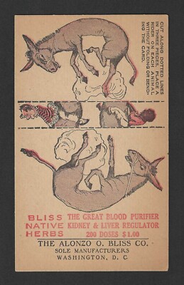 c1880's Bliss Trade Card - Sam Loyd Famous Trick Donkeys Rider - Washington D.C.
