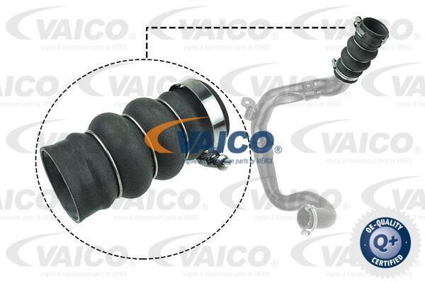 Durite turbo droit Ford Transit Connect 1.8 DI TDCi pour entretien de moteur utilitaire
