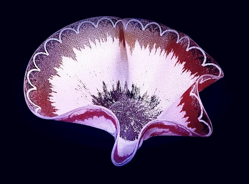 Vintage Dorothy Thorpe MCM Frosted Pink & White o CA Oversized Glass Bowl