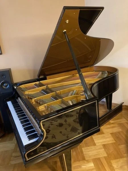 Piano de cola Bechstein, talla B, negro brillante con línea dorada, restaurado en 2009 Foto 3 de 4