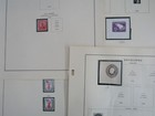 Bild 12 von 12