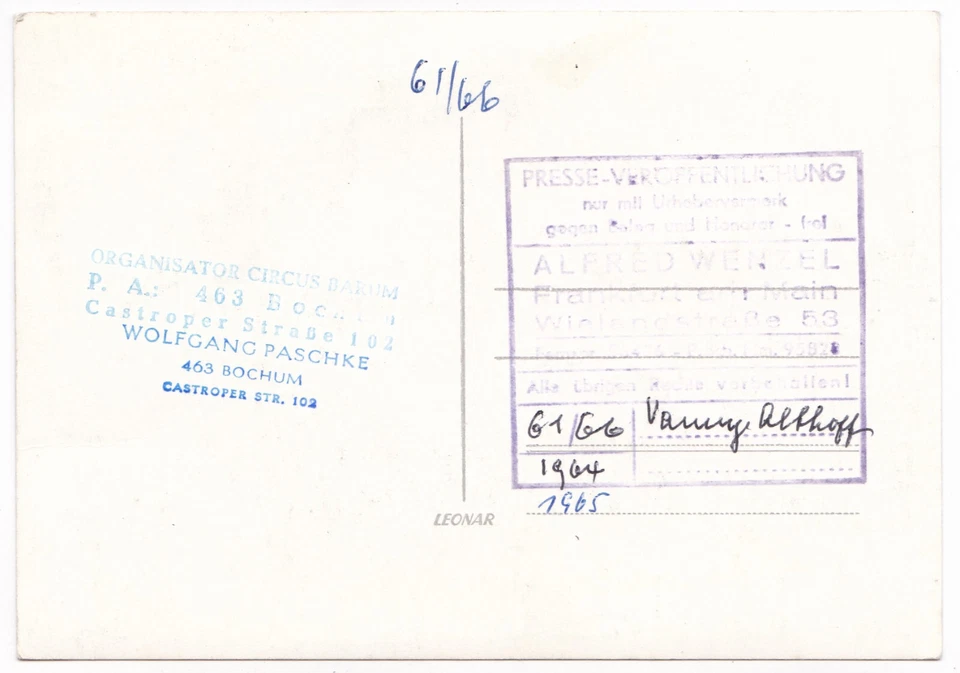 Foto-AK Zirkus Circus Barum Foto Pressefoto 1964 Althoff auf Pferd in der Manege - Bild 2 von 2