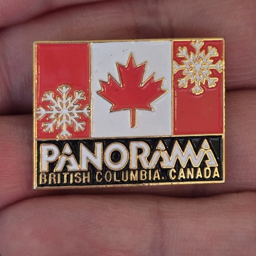 Vtg Skiing ski Pin Panorama BC Canada Collectible Skis Skier