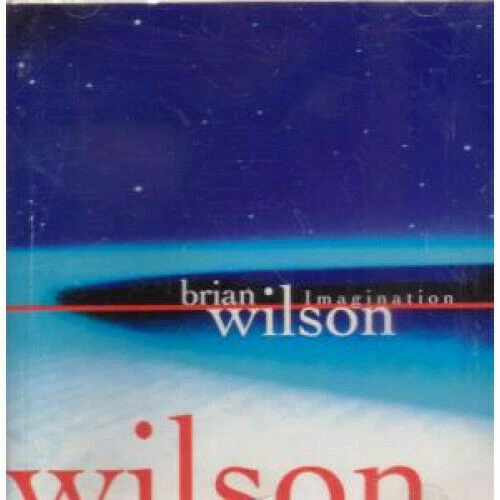 Rock Brian Wilson Music CDs