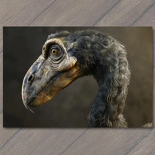 Art Print Dodo Bird Extinct Endangered Animal Wild Habitat Flightless Species Fu