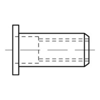 Reyher Blindnietmuttern A4 Flako M 6/3,0-5,5 (250 StüCk)