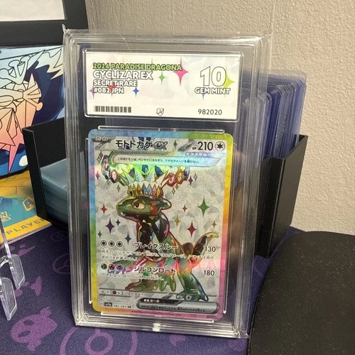 Pokemon Cyclizar ex 082/064 SR Sv7a: Paradise Dragona Holo Graded Ace 10