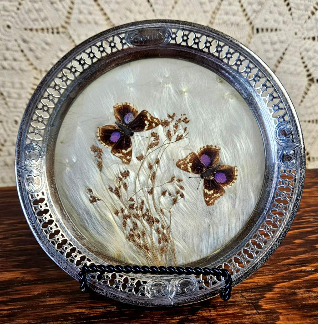 Picture 1 of 22