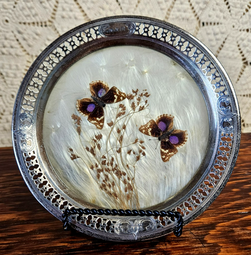 Sterling Silver Butterflies Tray Pressed Glass Purple Brown Stamped S&E Cutouts