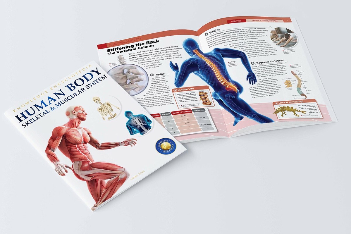 5-8DAYS DELIVERY- Human Body Box Set : Knowledge Encyclopedia For