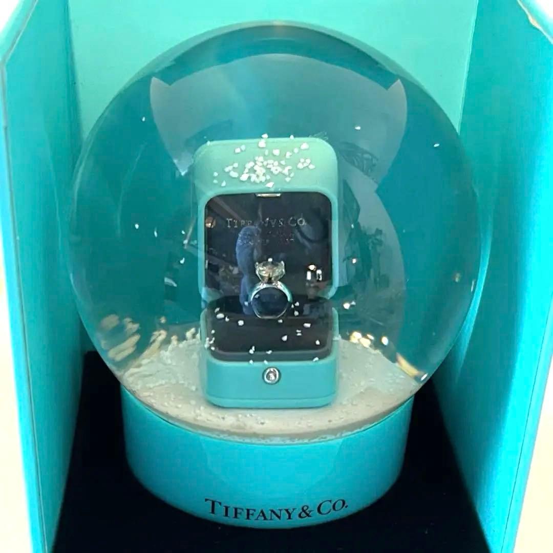 Tiffany & Co. Snow Globe Engagement Ring Special Gift Not for Sale