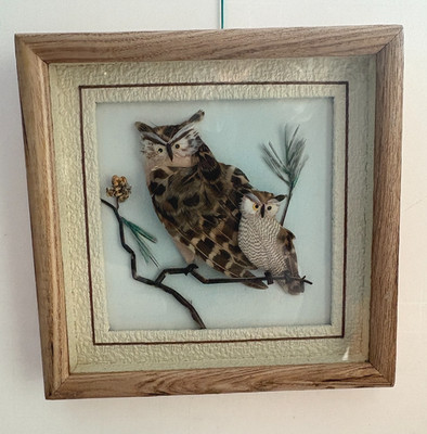 3D Owl Picture/Artwork  Shadow Box 2 Owls Made with Real Owl Feathers  Folk Art