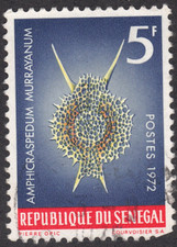 1972-73 Senegal - SC# 375 - Amphicra-sphedum Murrayanum - Marin Life - Used