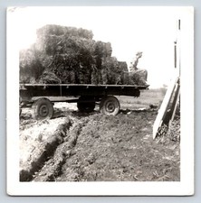 Farmer, Stack of Hay Bale, Trailer Black & White Photo Snapshot Vintage