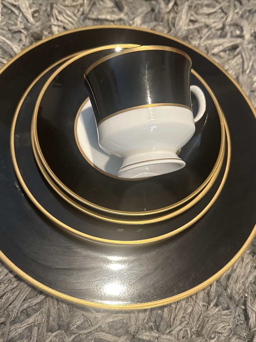 Cathy Hardwick Mikasa Bone China ONYX A6700 12 Settings 60