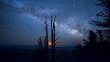Landscape nature night sky stars starry dead trees blue Custom Gaming Mat Desk