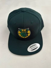 Big 3 Ball Hogs Embroidered Green Snapback Hat Cap One Size