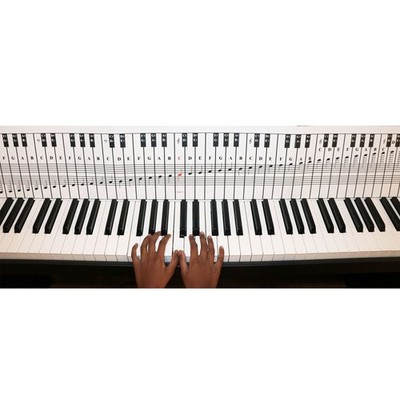 QMG Piano and Keyboard Note Chart for 88 Keys, Use Behind the Keys, Ideal Vis...