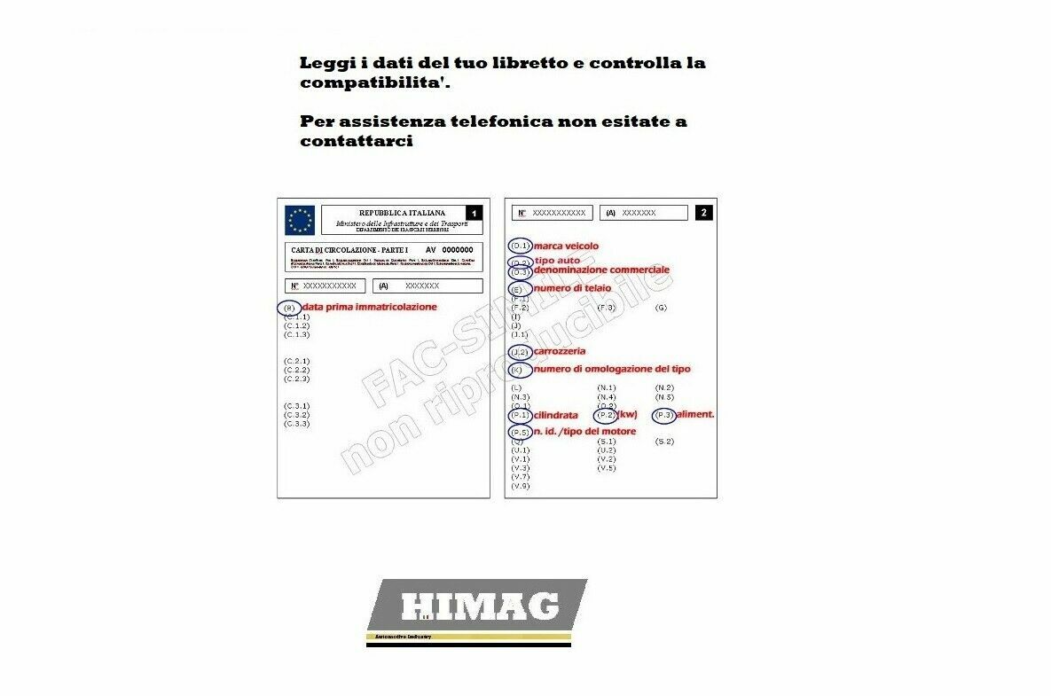 Imagen 7 de 7