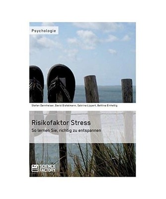 Risikofaktor Stress. So lernen Sie, richtig zu entspannen, Dannheiser, Stefan